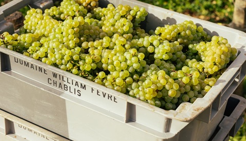 /img/offers/2552/Fevre card.jpg